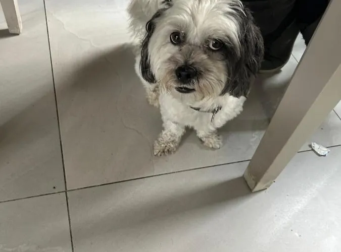 1 Luxurious In Family Кілларні